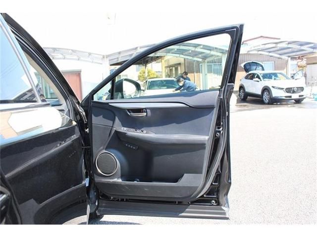 TOYOTA LEXUS NX300 2020 Image 31