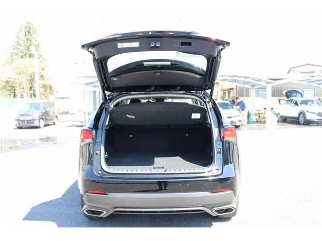 TOYOTA LEXUS NX300 2020 Image 31