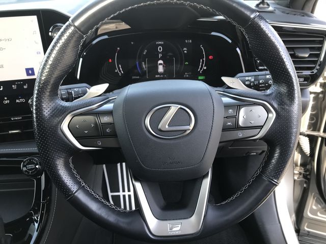 TOYOTA LEXUS NX350H AWD 2021 Image 31