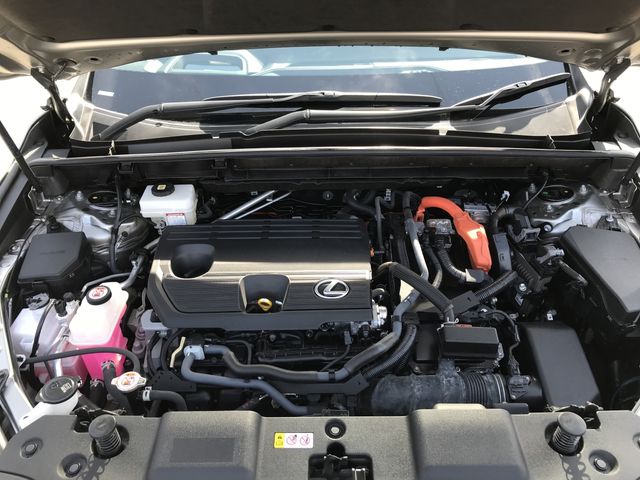TOYOTA LEXUS NX350H AWD 2021 Image 31