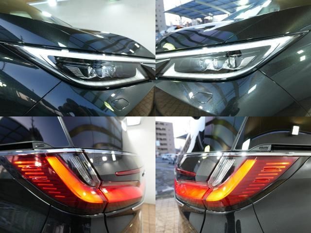 TOYOTA LEXUS LM500H 2024 Image 31