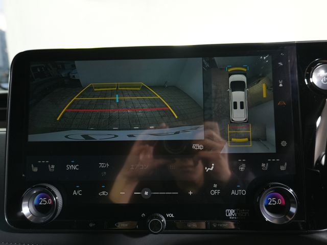 TOYOTA LEXUS LM500H 2024 Image 31