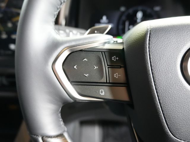 TOYOTA LEXUS LM500H 2024 Image 31