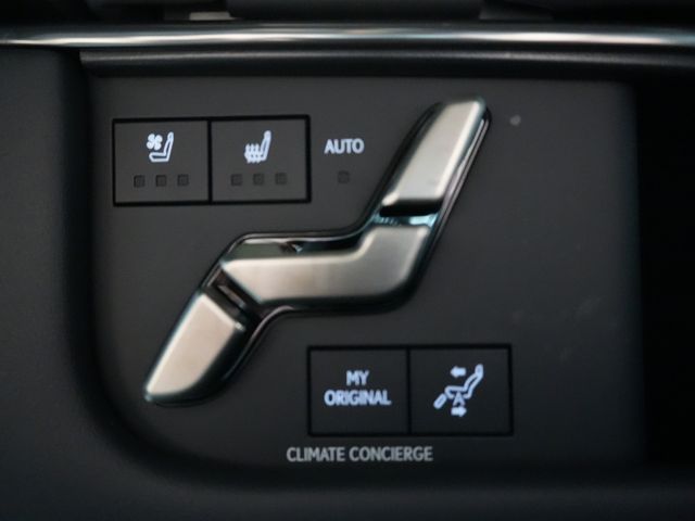 TOYOTA LEXUS LM500H 2024 Image 31