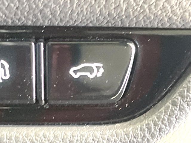 TOYOTA LEXUS NX350H 2023 Image 31