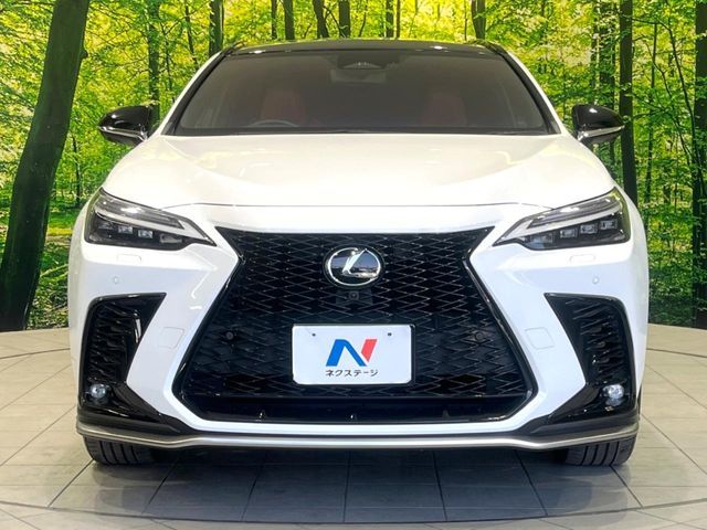 TOYOTA LEXUS NX350H 2023 Image 31