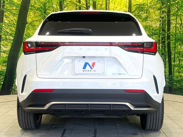 TOYOTA LEXUS NX350H 2023 Image 31