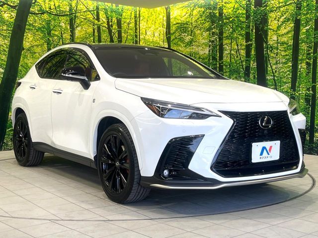 TOYOTA LEXUS NX350H 2023 Image 31