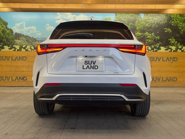 TOYOTA LEXUS NX350H AWD 2023 Image 31