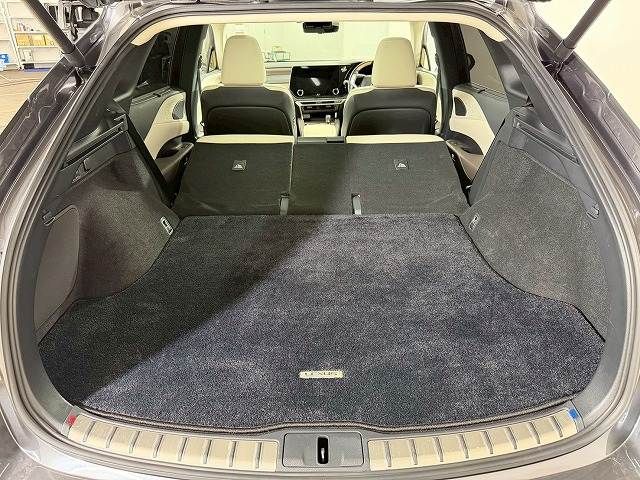 TOYOTA LEXUS RX350H 2024 Image 31