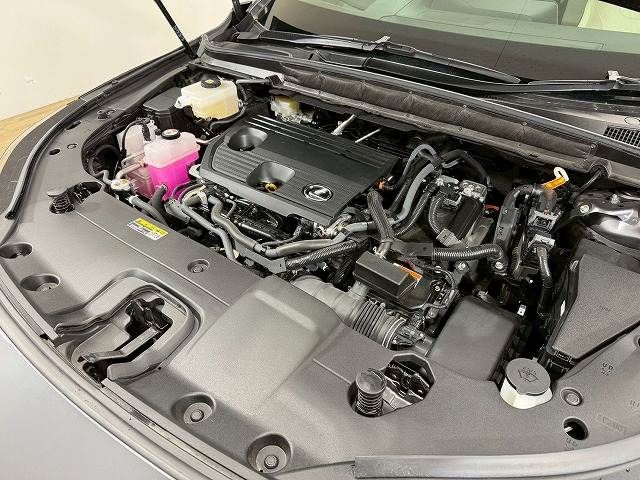 TOYOTA LEXUS RX350H 2024 Image 31