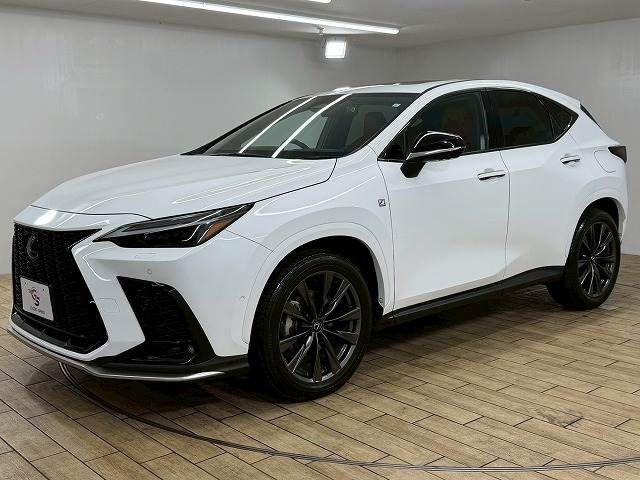 TOYOTA LEXUS NX350H 2023 Image 31
