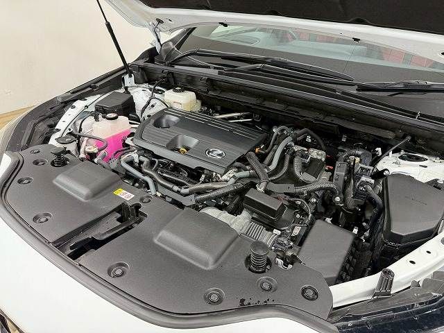 TOYOTA LEXUS NX350H 2023 Image 31