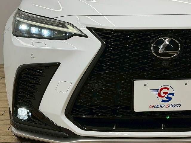 TOYOTA LEXUS NX350H 2023 Image 31