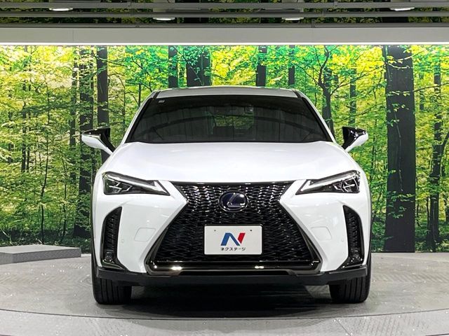 TOYOTA LEXUS UX250H 2021 Image 31
