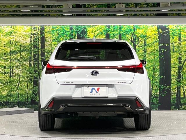 TOYOTA LEXUS UX250H 2021 Image 31