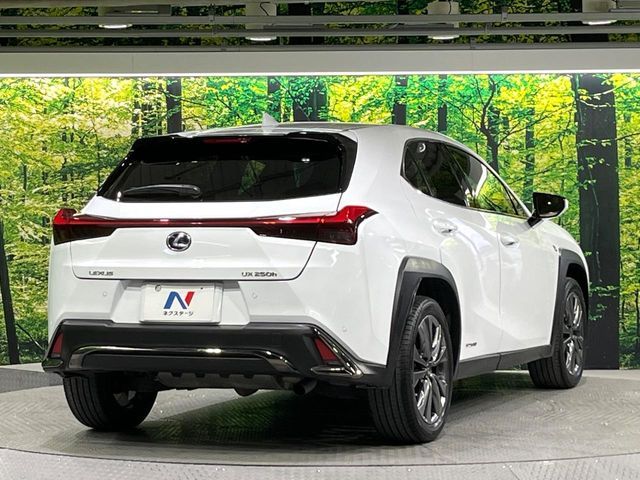 TOYOTA LEXUS UX250H 2021 Image 31