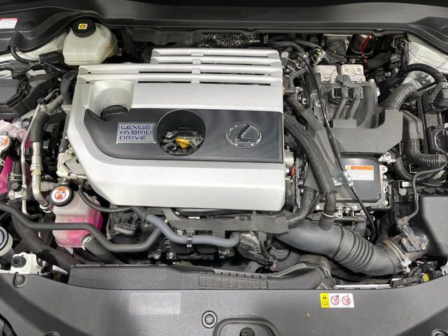 TOYOTA LEXUS UX250H 2021 Image 31