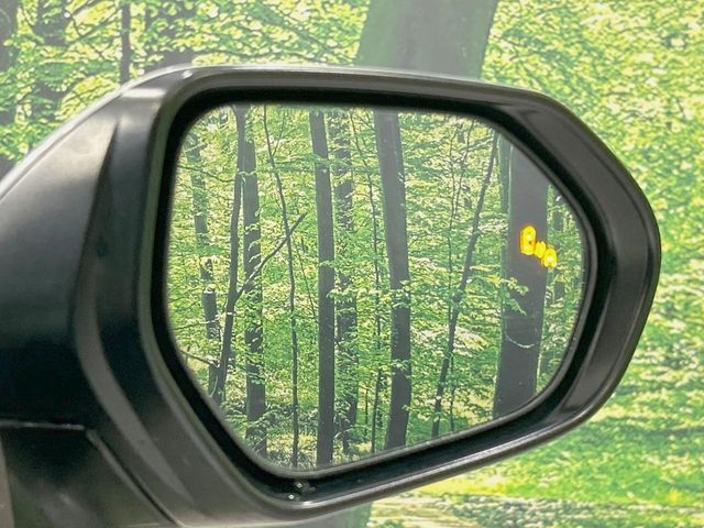 TOYOTA C-HR 2017 Image 31