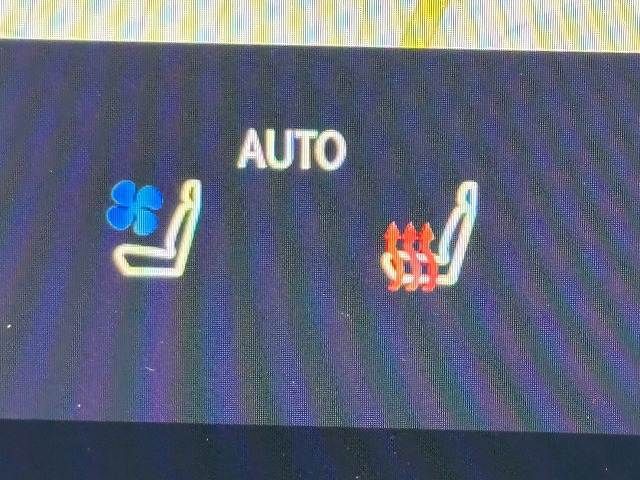 TOYOTA LEXUS NX350H 2023 Image 31