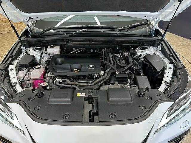 TOYOTA LEXUS NX350H 2023 Image 31