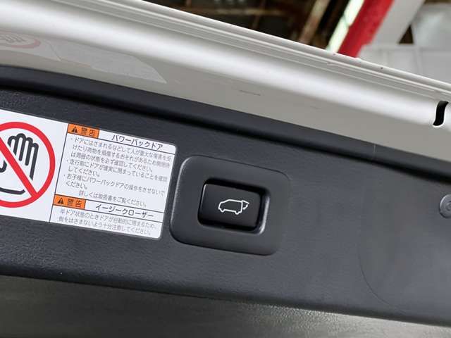 TOYOTA ALPHARD 4WD 2021 Image 31