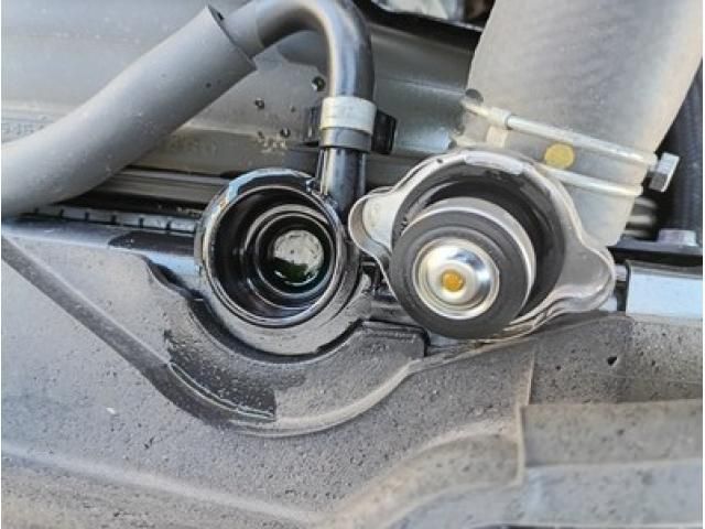 ISUZU ELF 2021 Image 31