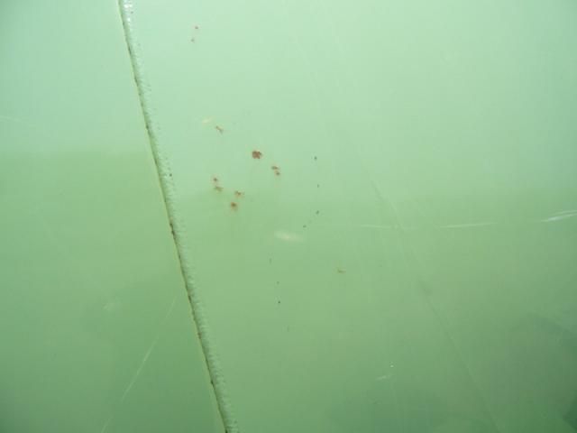 HINO PROFIA 2014 Image 31