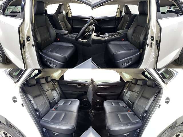 TOYOTA LEXUS NX300 2018 Image 31