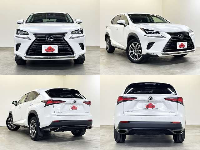 TOYOTA LEXUS NX300 2018 Image 31