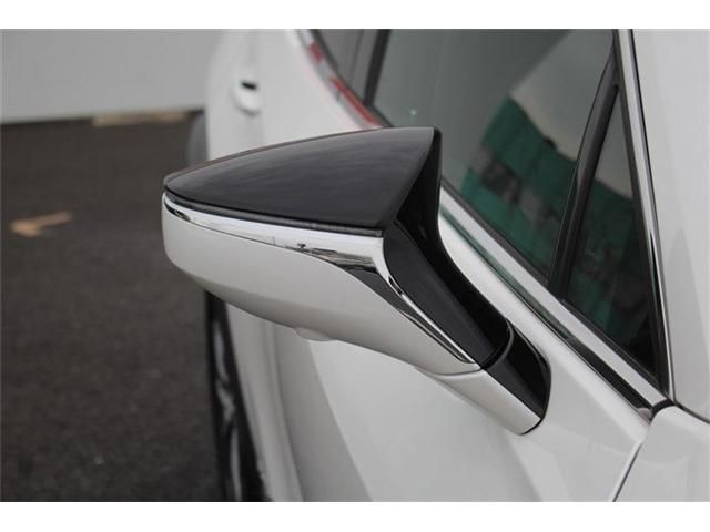 TOYOTA LEXUS UX300E 2021 Image 31