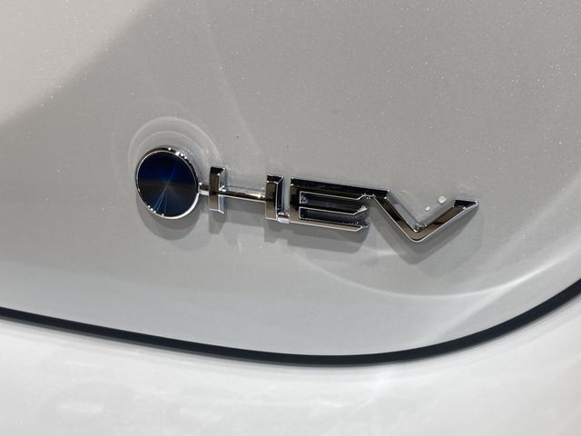 TOYOTA YARIS HYBRID 2026 Image 31