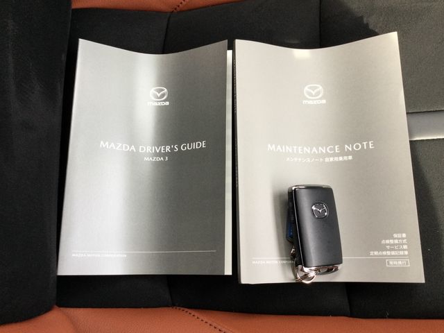 MAZDA 3 FASTBACK 2024 Image 31
