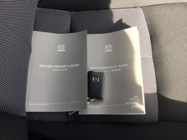 MAZDA CX-60 2025 Image 31