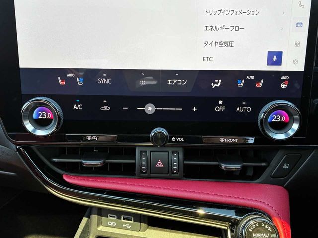 TOYOTA LEXUS NX350H 2023 Image 31