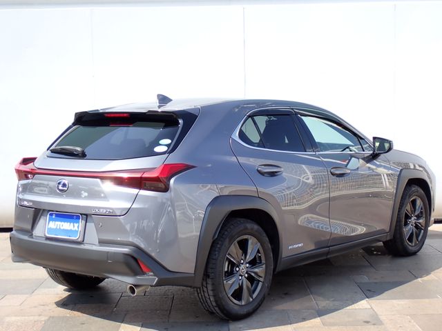 TOYOTA LEXUS UX250H 2019 Image 31