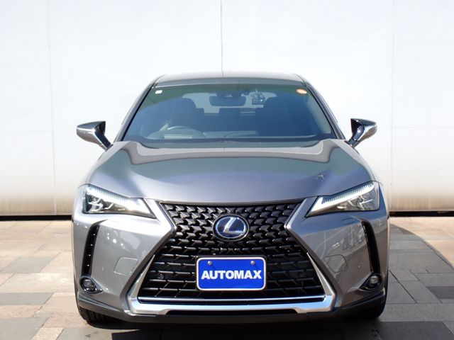 TOYOTA LEXUS UX250H 2019 Image 31
