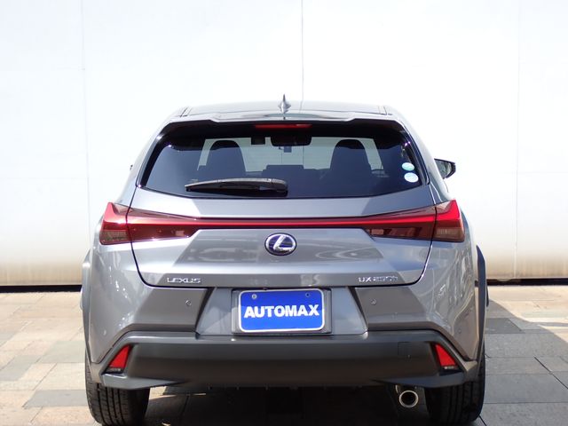 TOYOTA LEXUS UX250H 2019 Image 31