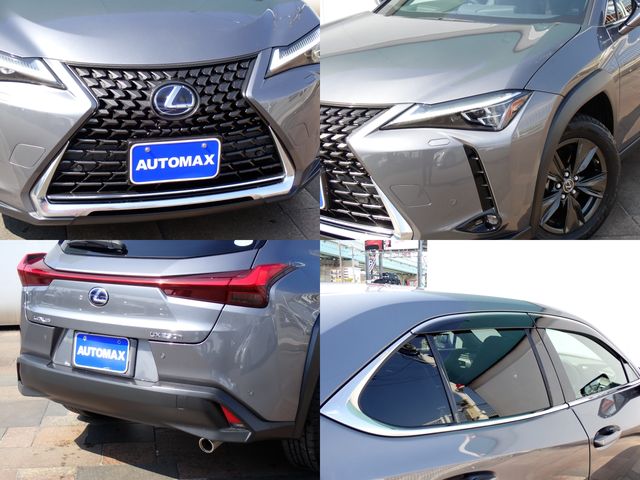 TOYOTA LEXUS UX250H 2019 Image 31