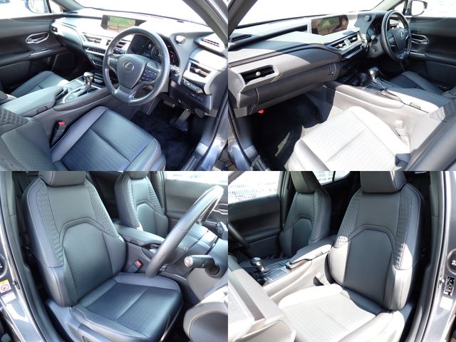 TOYOTA LEXUS UX250H 2019 Image 31