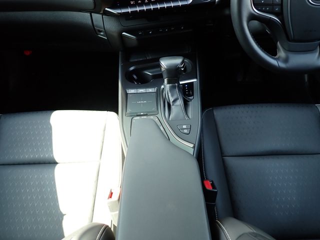 TOYOTA LEXUS UX250H 2019 Image 31