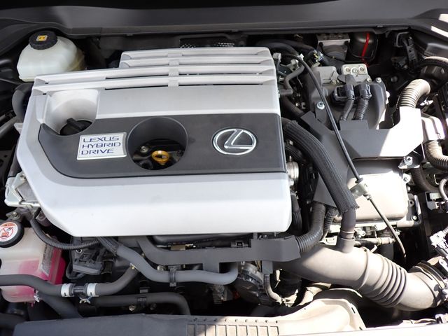 TOYOTA LEXUS UX250H 2019 Image 31