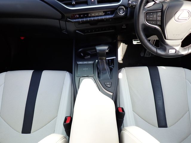 TOYOTA LEXUS UX200 2019 Image 31