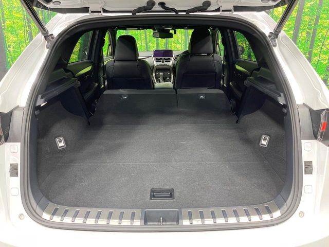 TOYOTA LEXUS NX300H AWD 2019 Image 31