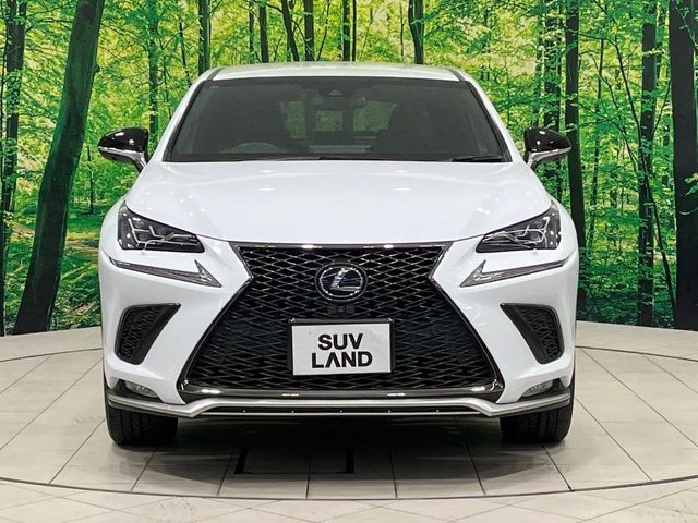 TOYOTA LEXUS NX300H AWD 2019 Image 31