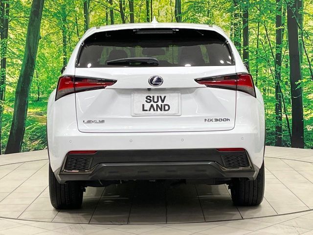 TOYOTA LEXUS NX300H AWD 2019 Image 31