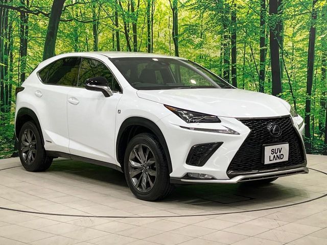 TOYOTA LEXUS NX300H AWD 2019 Image 31