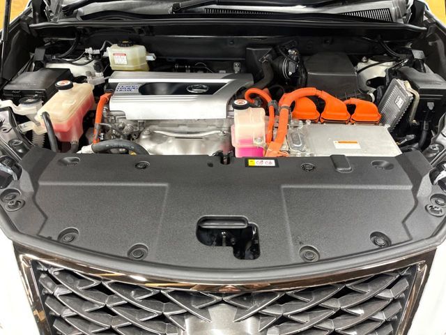 TOYOTA LEXUS NX300H AWD 2019 Image 31