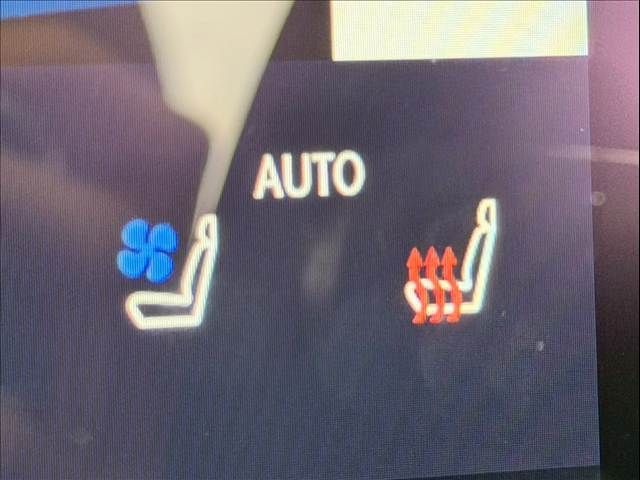 TOYOTA LEXUS RX350H 2023 Image 31