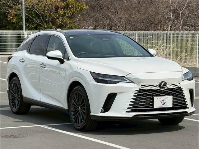 TOYOTA LEXUS RX350H 2023 Image 31